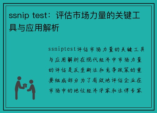 ssnip test：评估市场力量的关键工具与应用解析